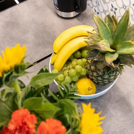 Wawelsee Appartement Cracovie